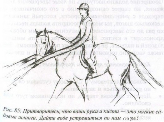руки-шланги