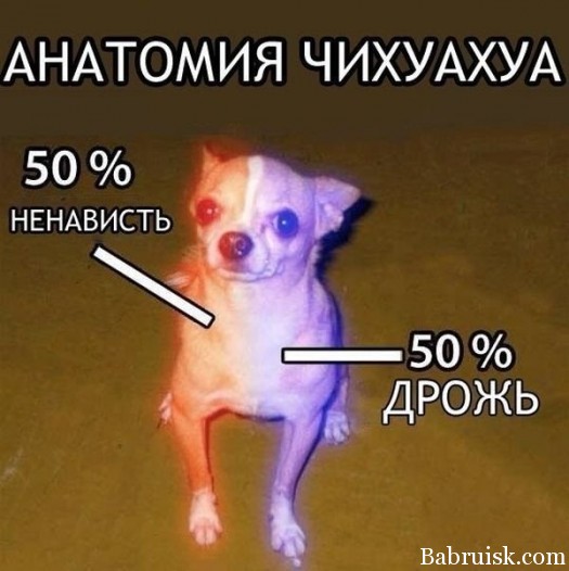 дрожь