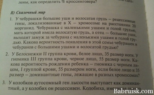 естьчо
