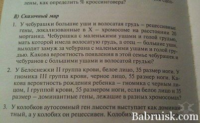 задачки