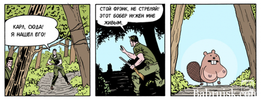 бобёр