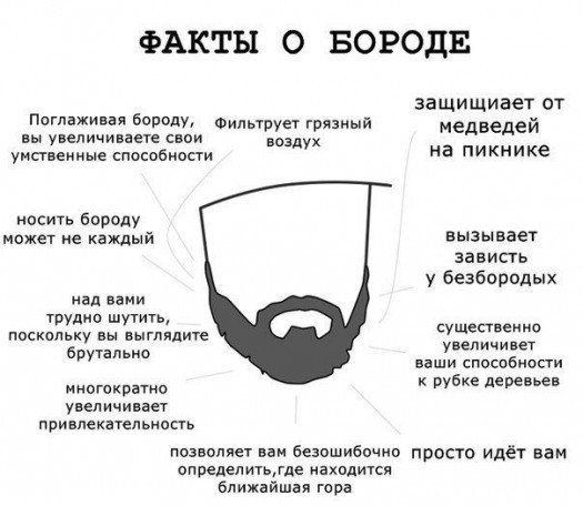 бородамаршал