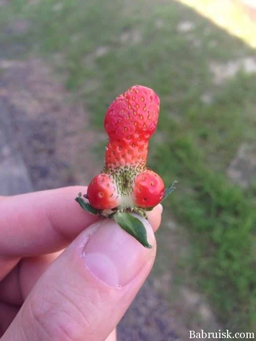 клубничка