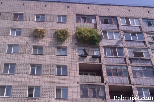 не палятся
