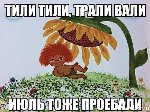 правильно срать