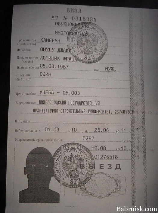 студень