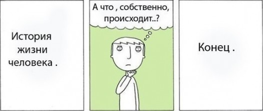 history