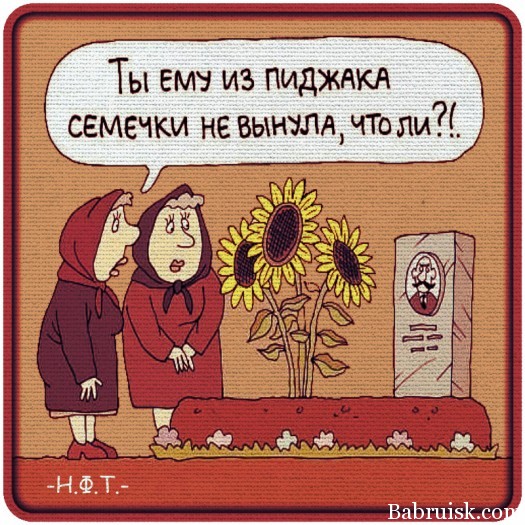 семечки