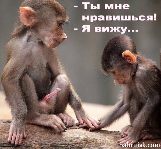 1 Пра любофьAlfred Yuhimovich