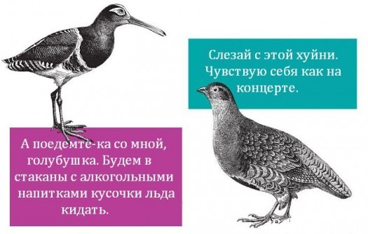 хуйня