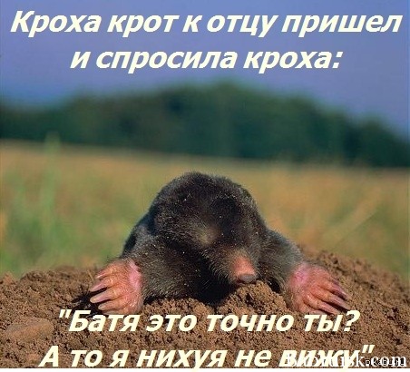 кроха крот к отцу пришел