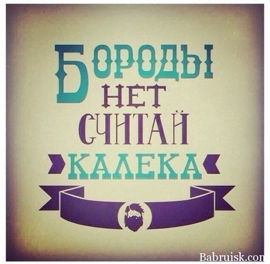net_borody