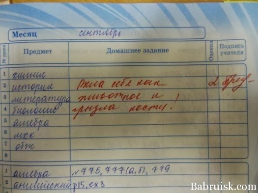 замечание в дневнике