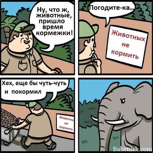 не кьрмить