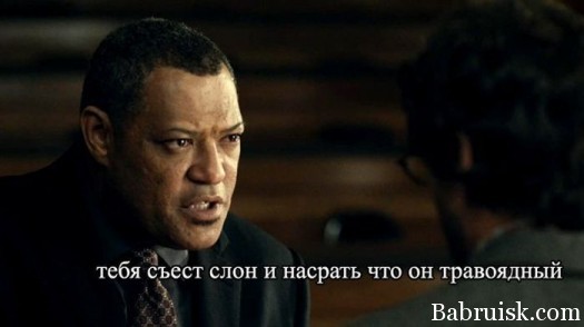 шахматист