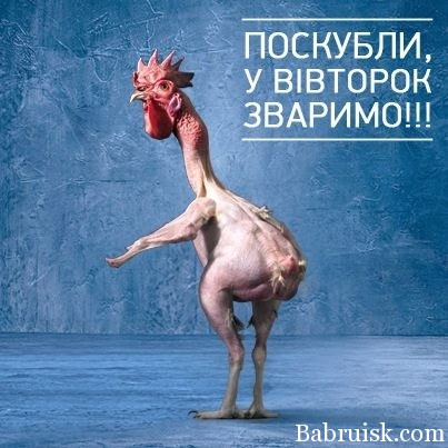 украина-франция