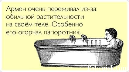 папоротник у армена