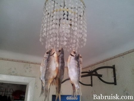 как высушить рыбу в квартире
