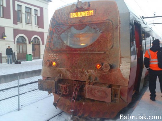 олень