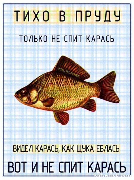 щука еблась