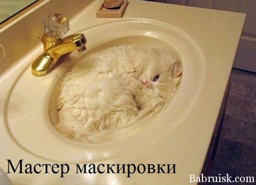 маскировка