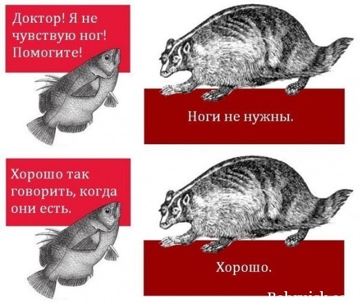 ноги