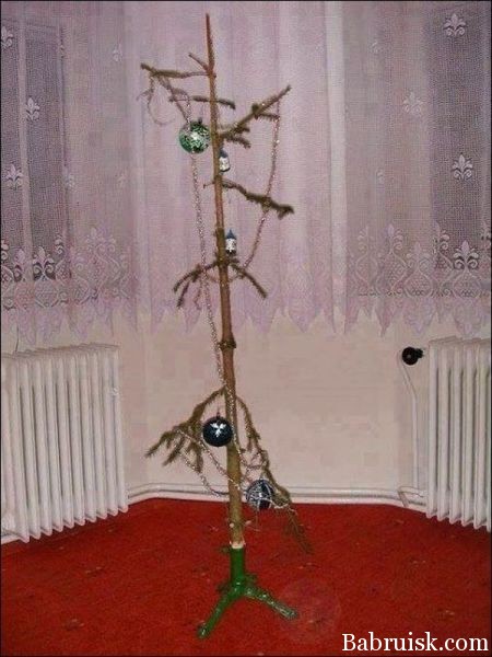 чернобыльская елка