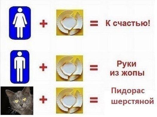 расхуряил тарелку в пизду