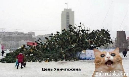 котэ атакует