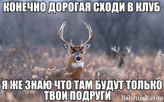 олень