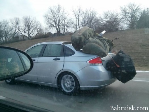 тёща целиком не паместилась