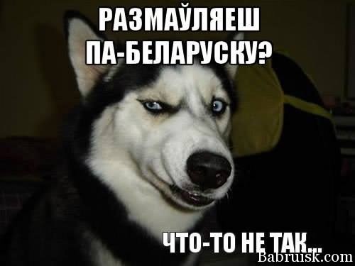 chtotonetak_004