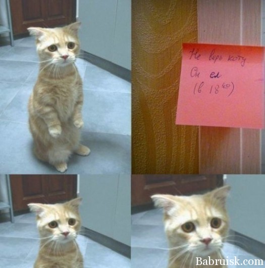 Гуоргогого