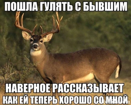 Гуоргогогого