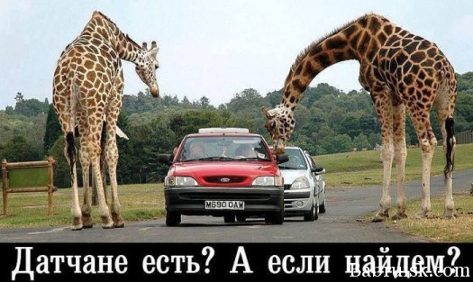 Ну ето даже я ахуел