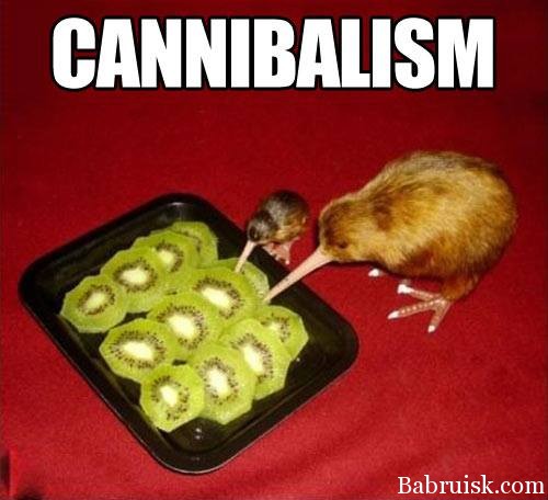 kannibal