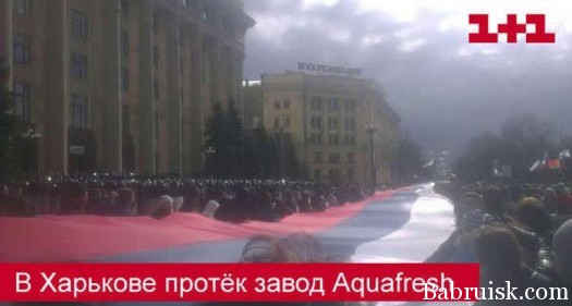 Иле буду