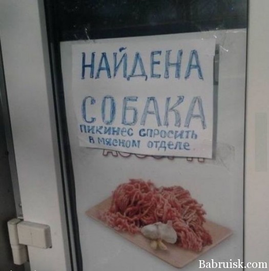 Пачти жывая