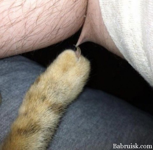 Пятницо цыпляет