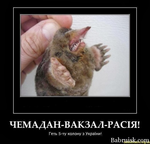 Щас и пасморим(росжыг10)