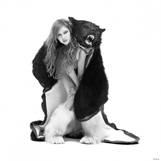 bear