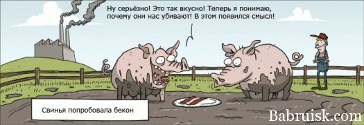 bekon