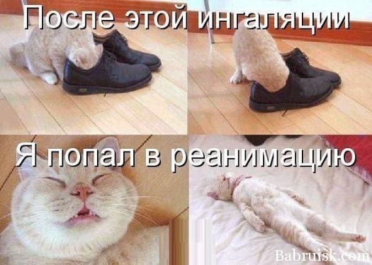 Ибо нехуй туда сцать