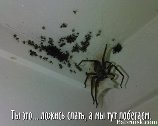 Спокиночи9