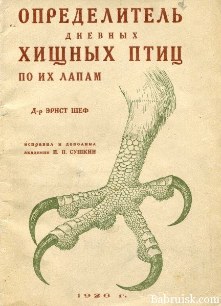 определитель дневных хищных птиц по их лапам