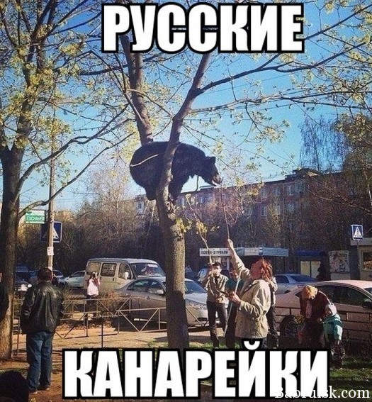 Весна пришла