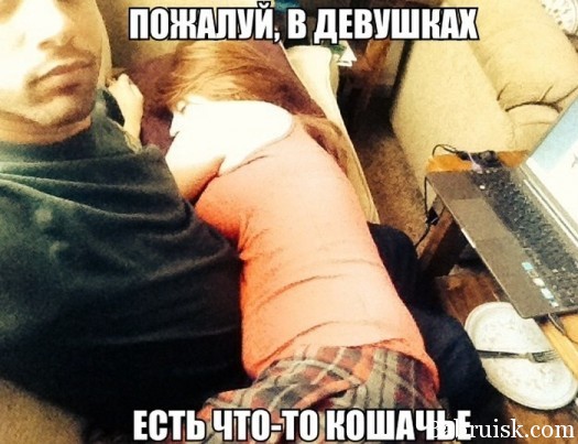 И снова рыжый котэ