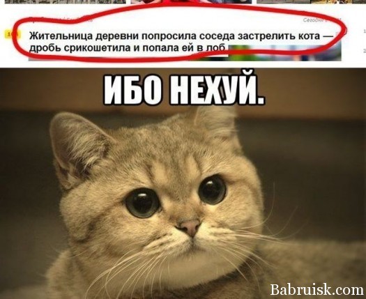 Котэ хитры