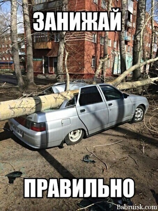 Пачти ламбарджыни