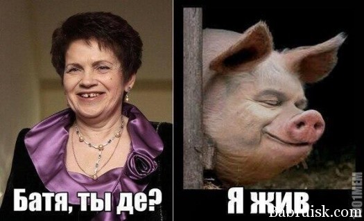 яжыф
